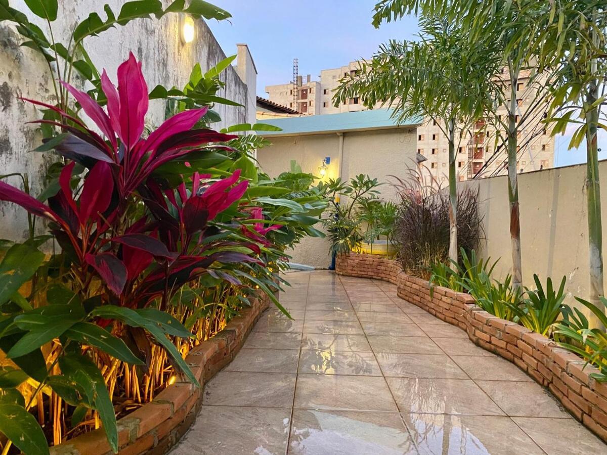 Studio-house With Tropical Garden *