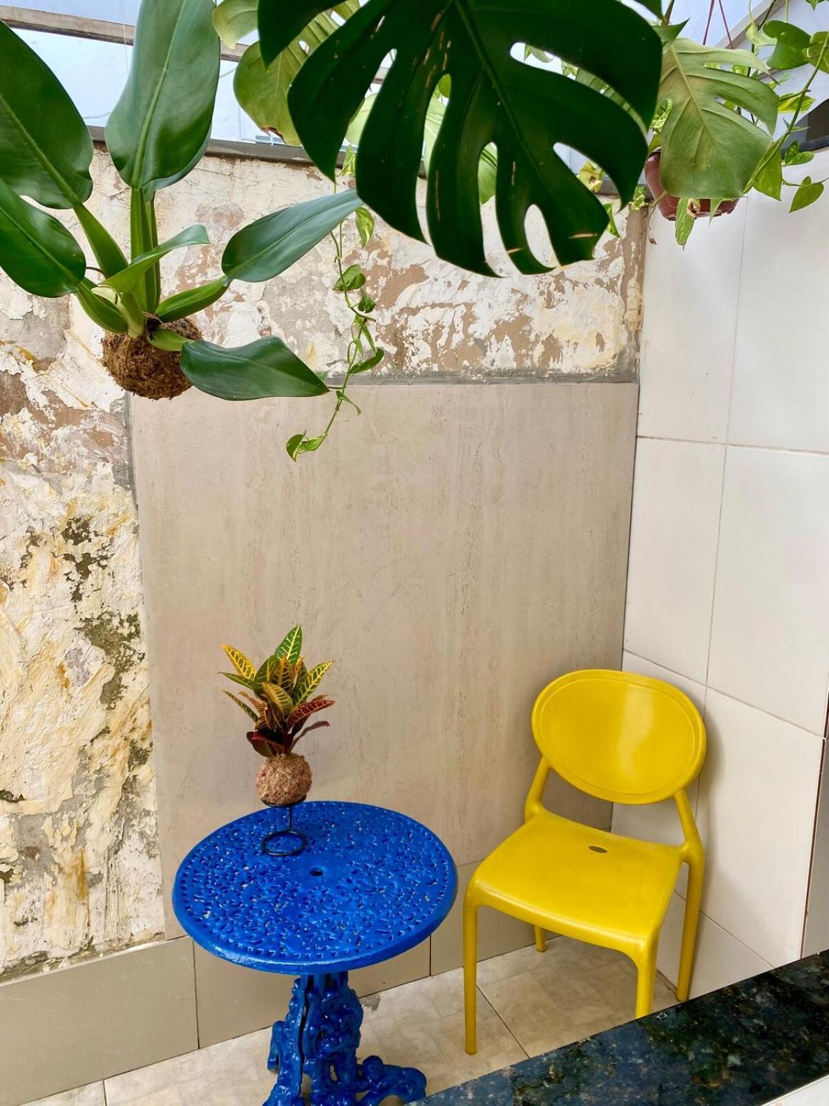 Casa de férias Studio-house With Tropical Garden Belo Horizonte